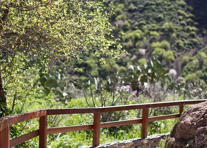 De Guayadeque Ingenio