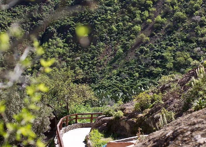 Lantställe De Guayadeque Ingenio